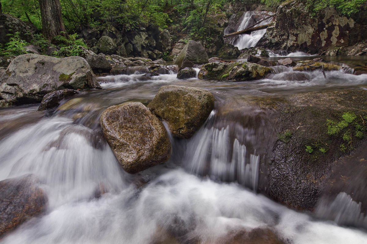 Ключ Смольный.Лето.