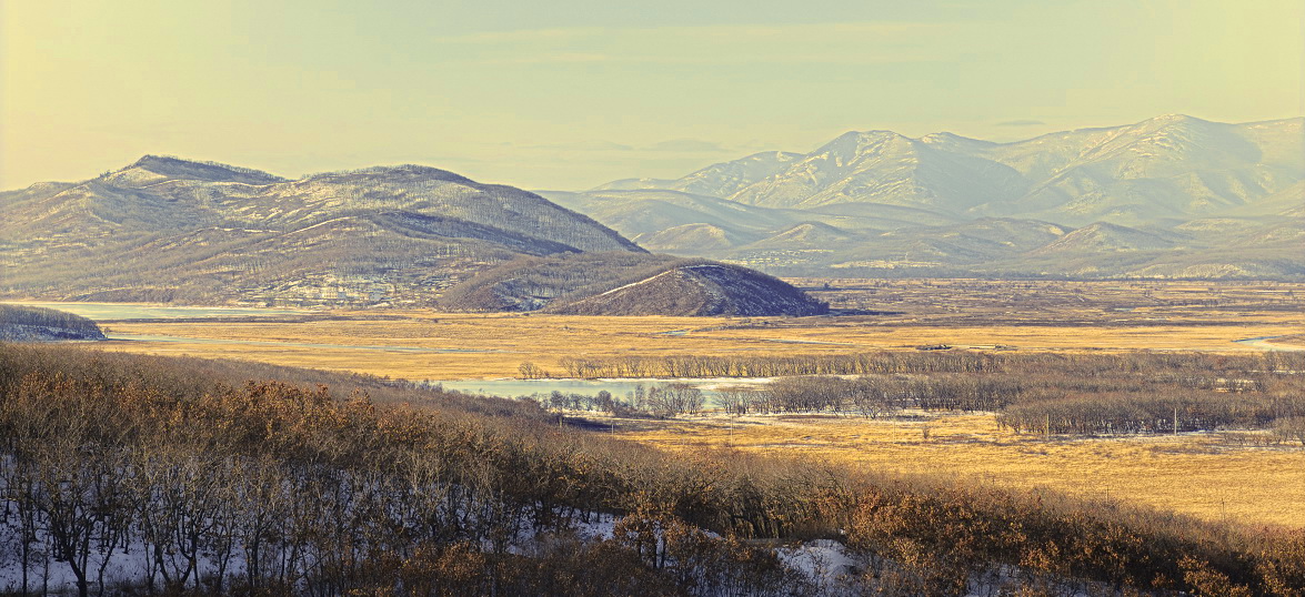 поХеДРенный