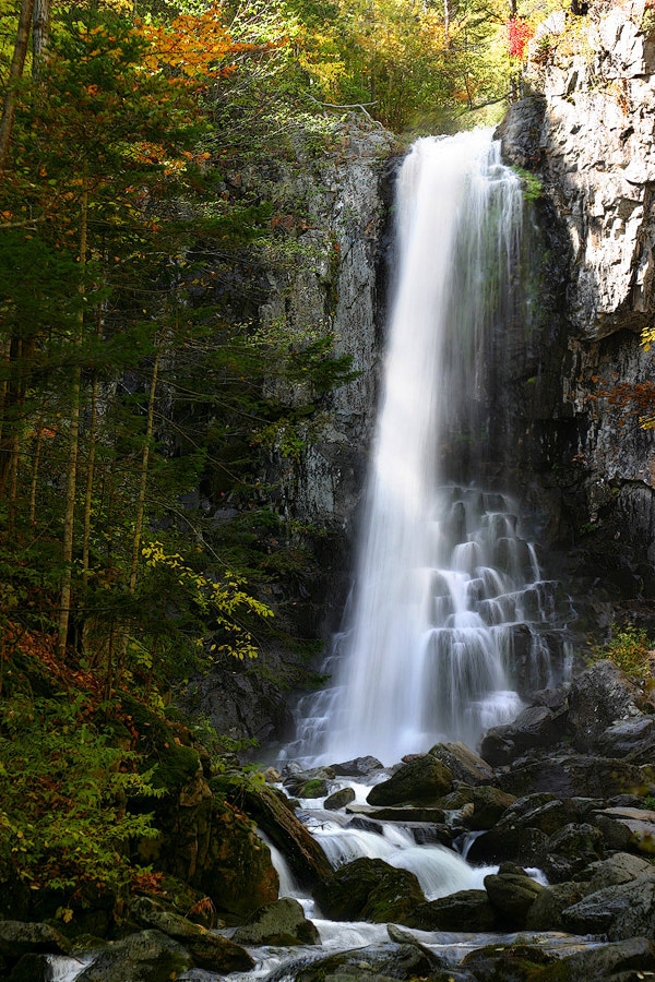 Звезда Приморья