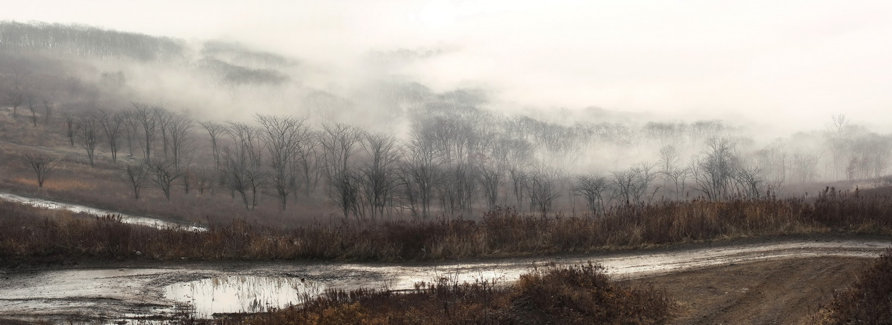 Осенние туманы