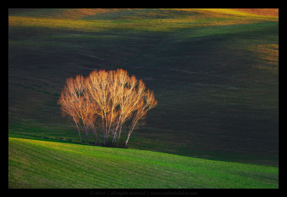 Внутренний свет...