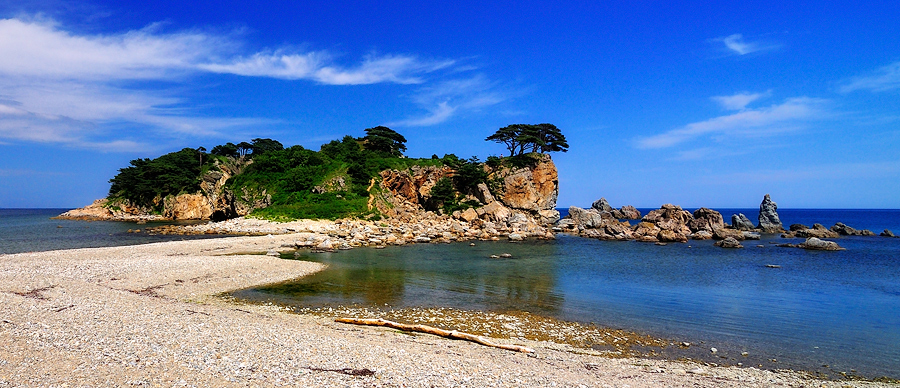 тропики в приморье