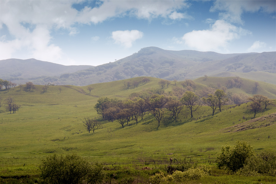 Где-то в крае