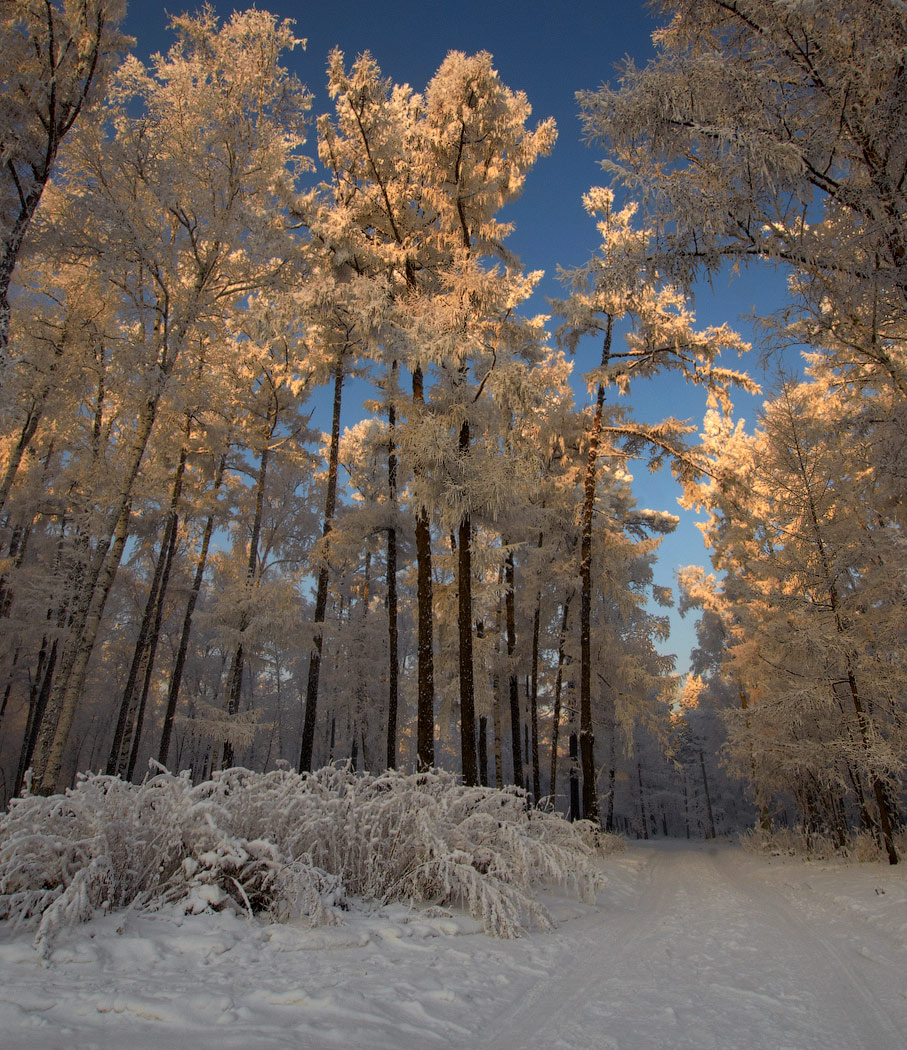 на рассвете...