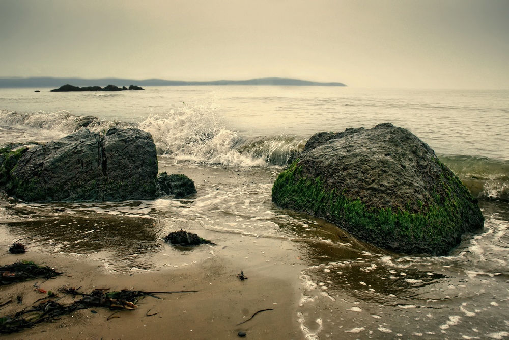 Пара камушкаф