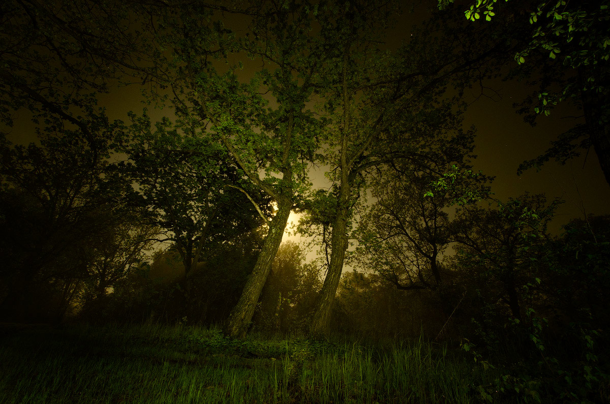 лунный свет