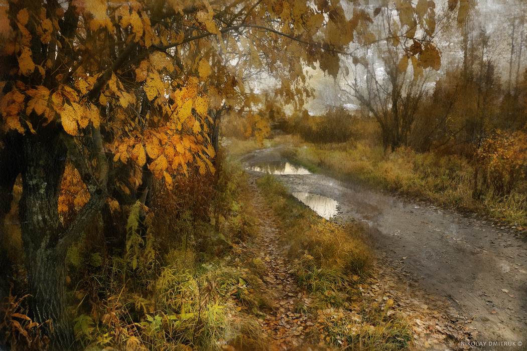 ива. дорога. осень. 2017