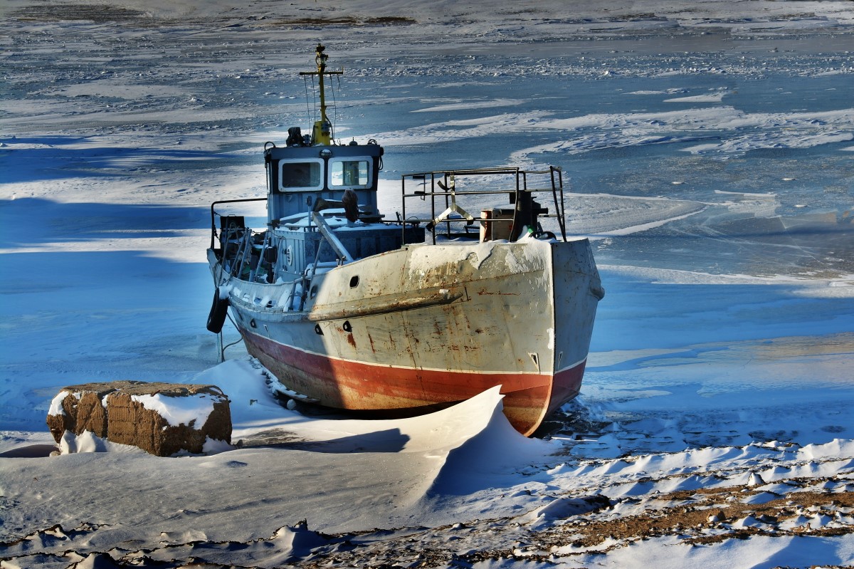 до будущей весны ...