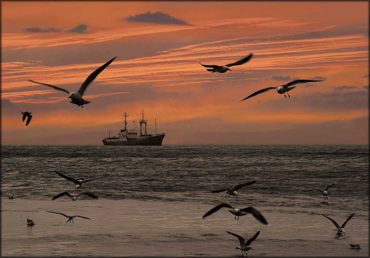 Жди хорошую погоду