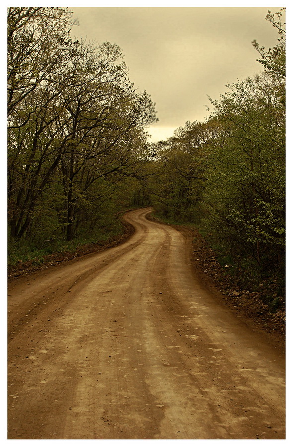 Дороги, которые нас выбирают, дороги, которые смеются нам в лицо