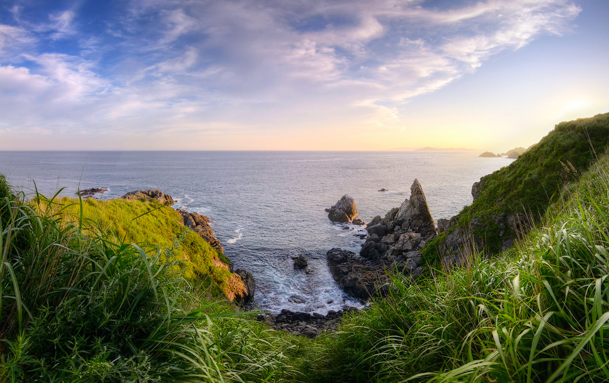 любимый фишай