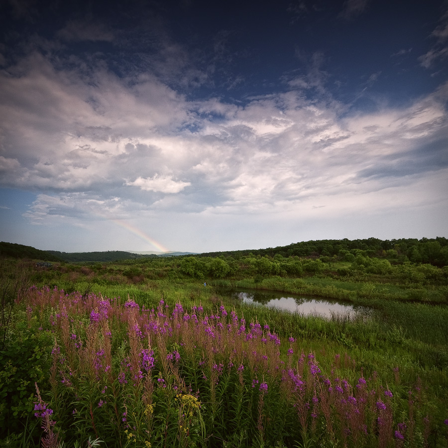 После грозы. Июль