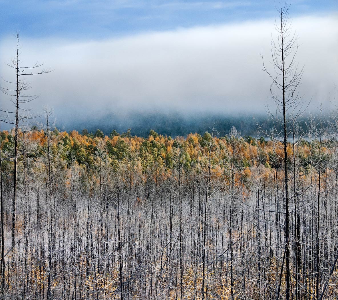 Утро осеннее
