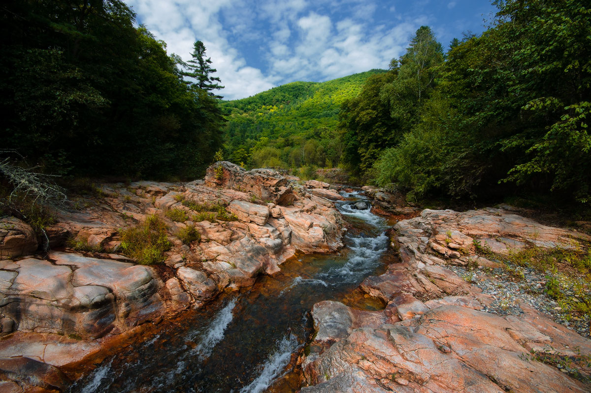 Розовые пороги