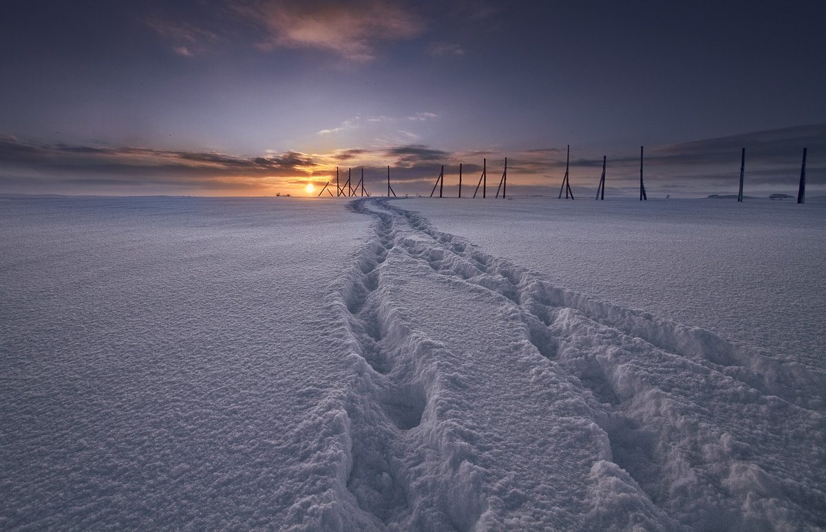 Бесконечная тундра