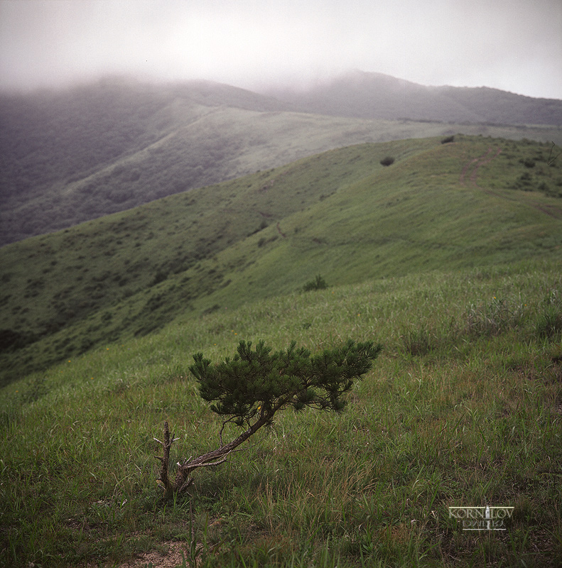 прочьночьбестолочь