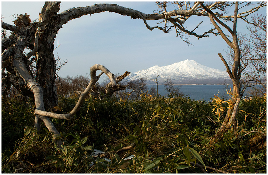 Весенний беспорядок