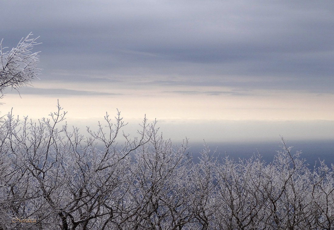 Апрель в голубом