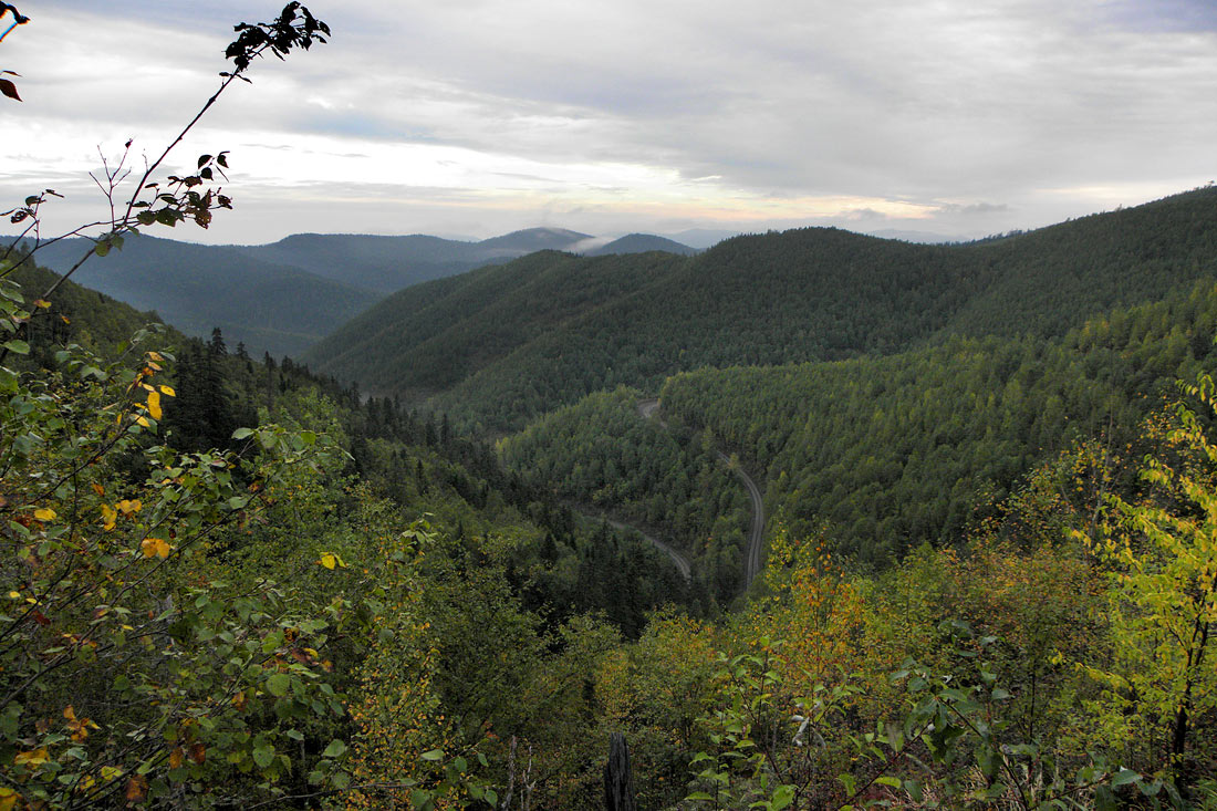 Дорога на Восток
