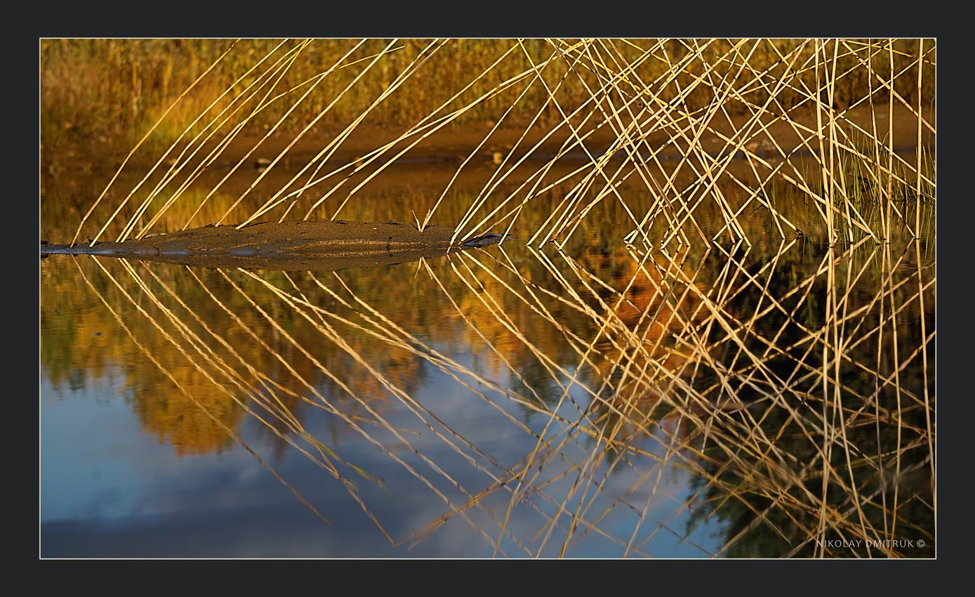 мост. инсталляция. 2016