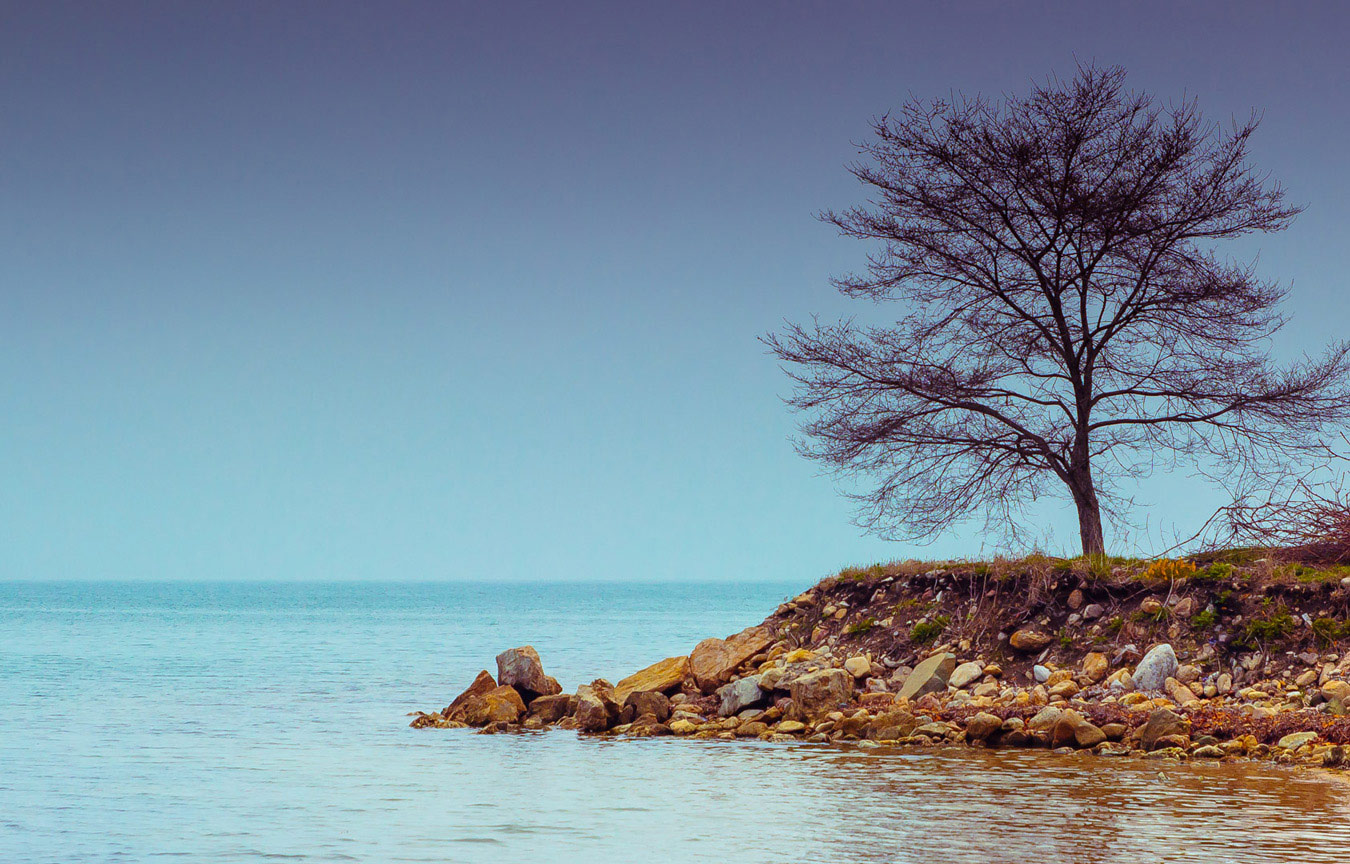 Одиночество