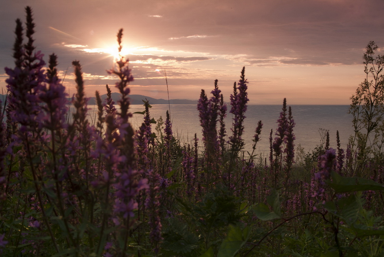 Утро на о.Путятин