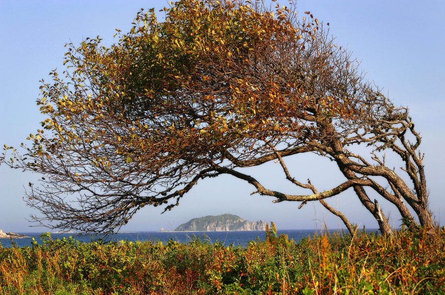 Остров невезения в океане есть...