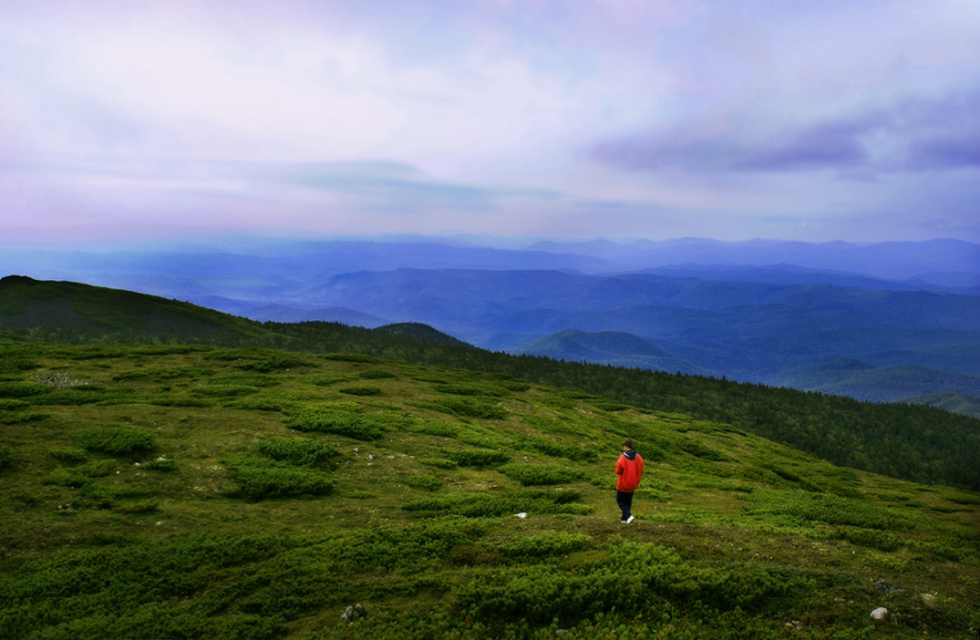 Наедине с целым миром