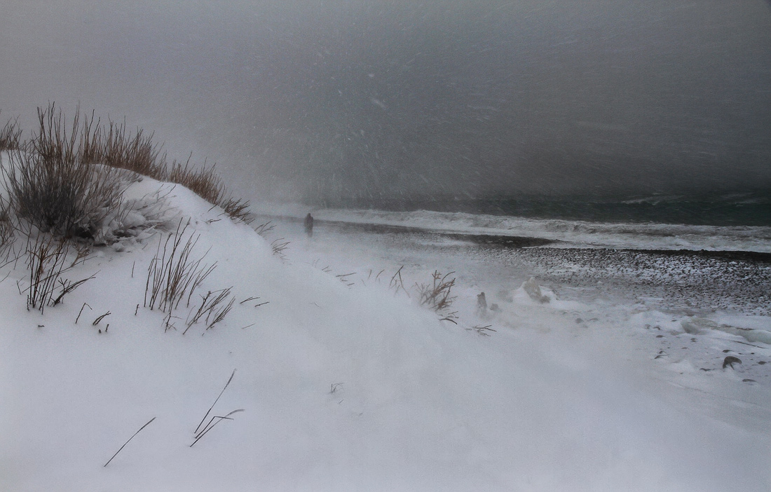 В лапах метели