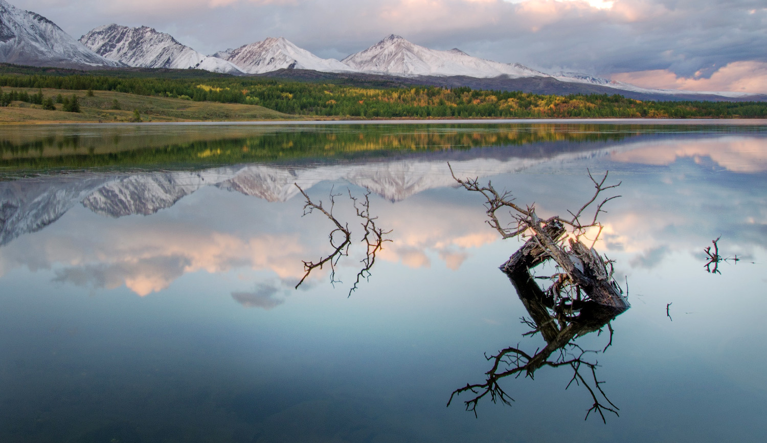 Опять про оз.Шара-Нуур, теперь с корягой )