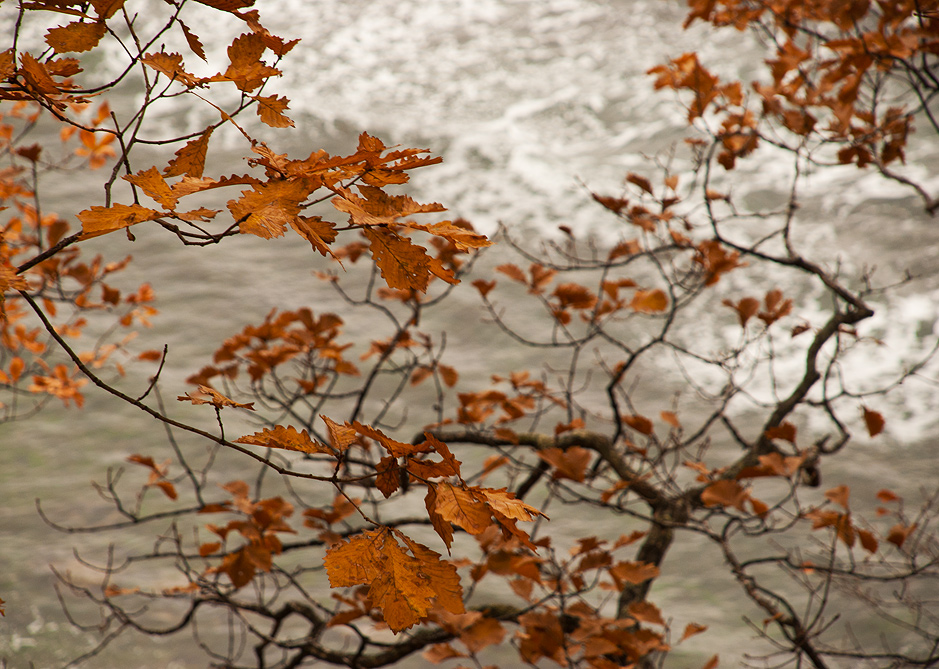 сквозь шум морских волн
