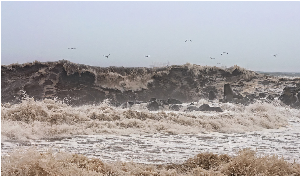 Лапы Болавена