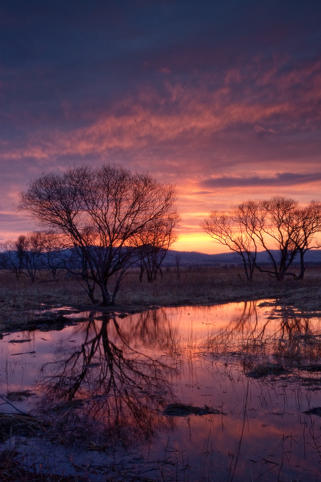 вечерне-вдольдорожная...