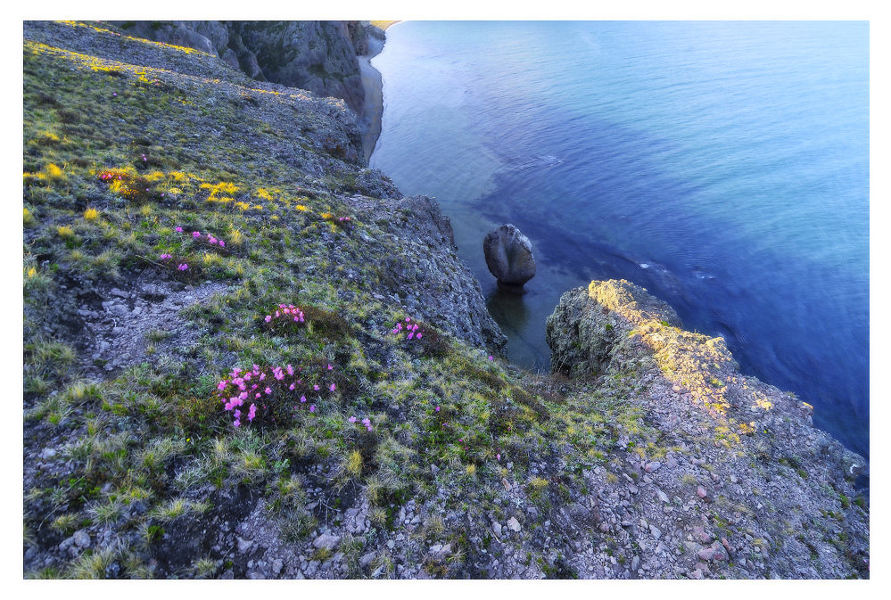 Прибрежная палитра.