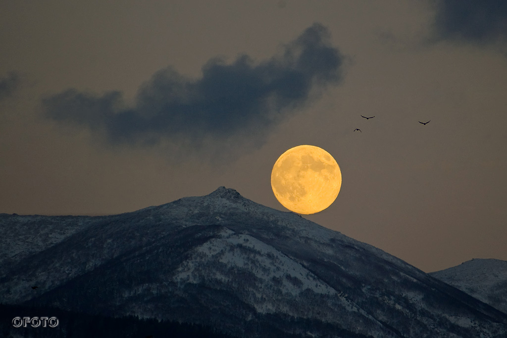 Полнолуние