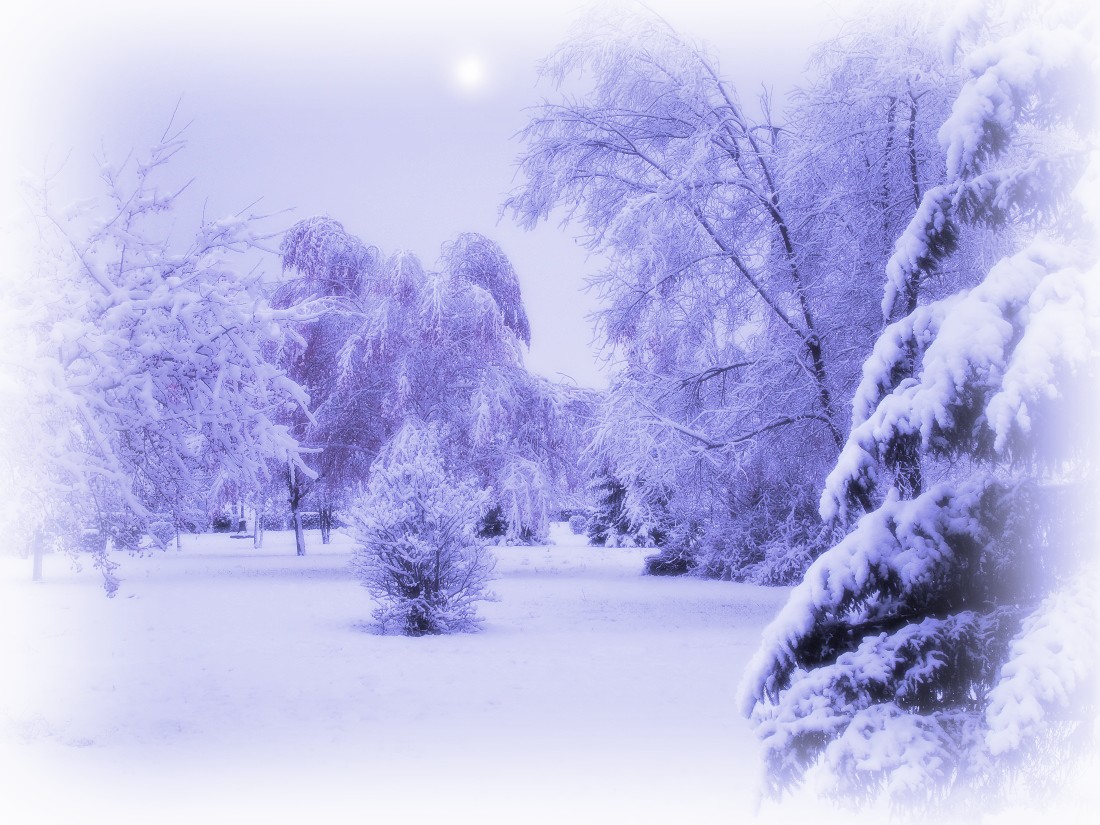 Зимние сказки