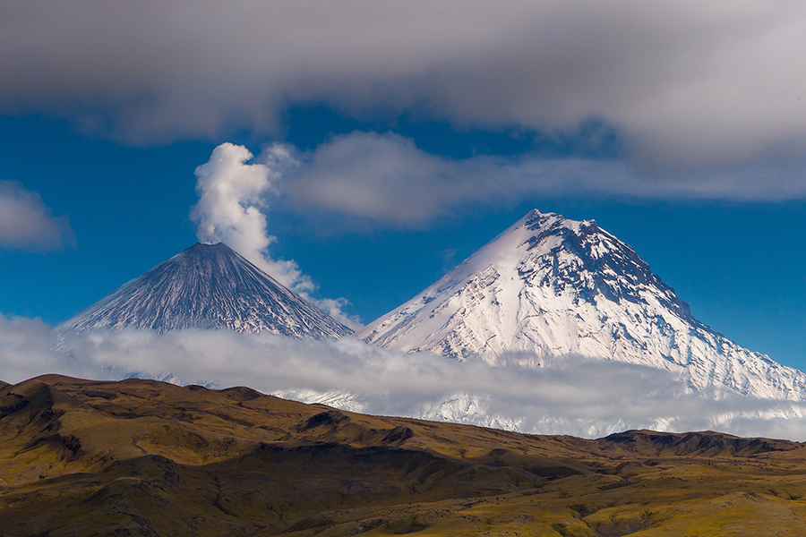 Белые Великаны