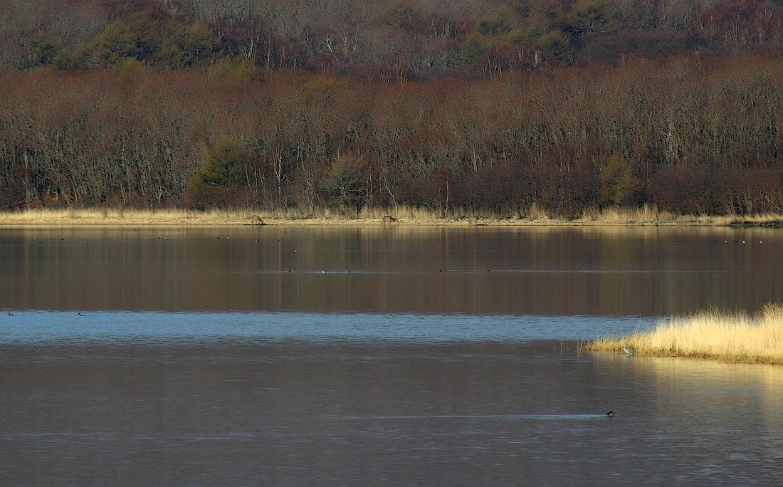 Весна на озере