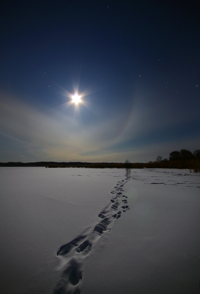В свете луны