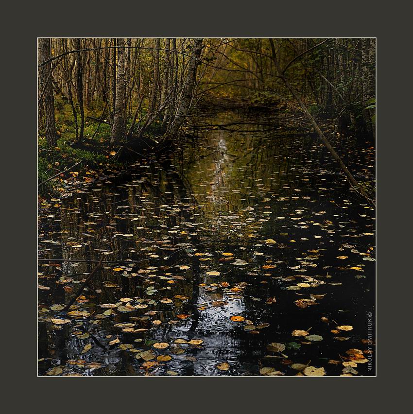 канал в осень. 2016