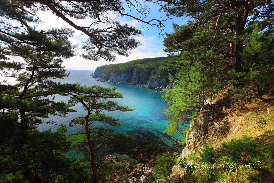 Бухта Теляковского