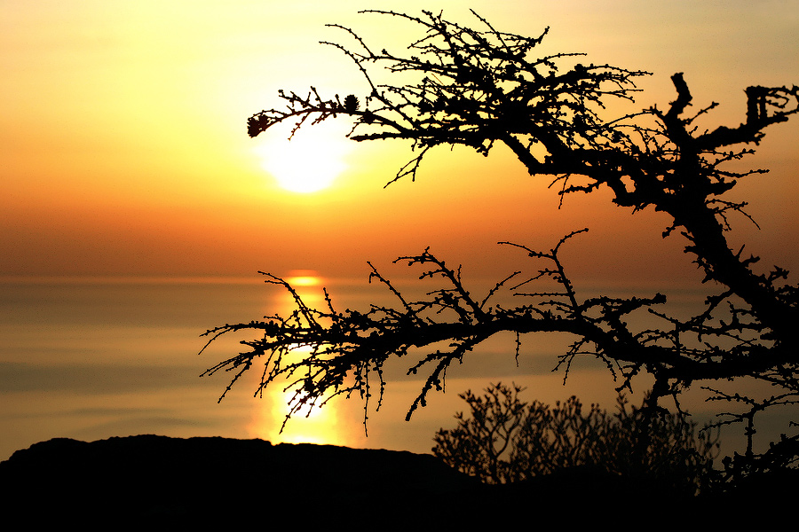 Ещё рассветная