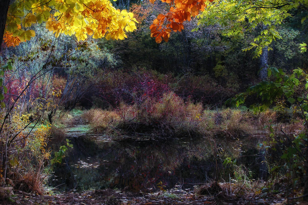 ещё вчера...