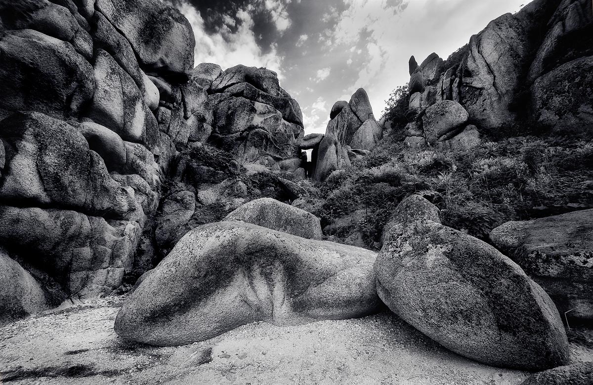 Мрачные молчуны