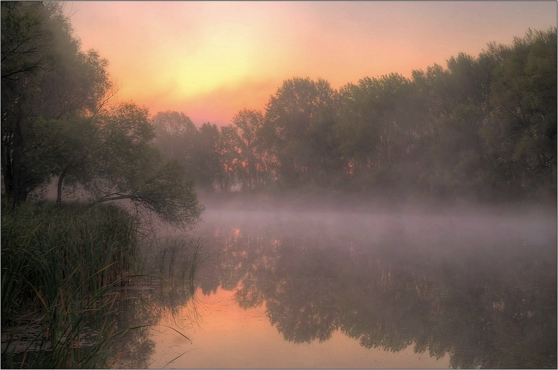 Тихим утром