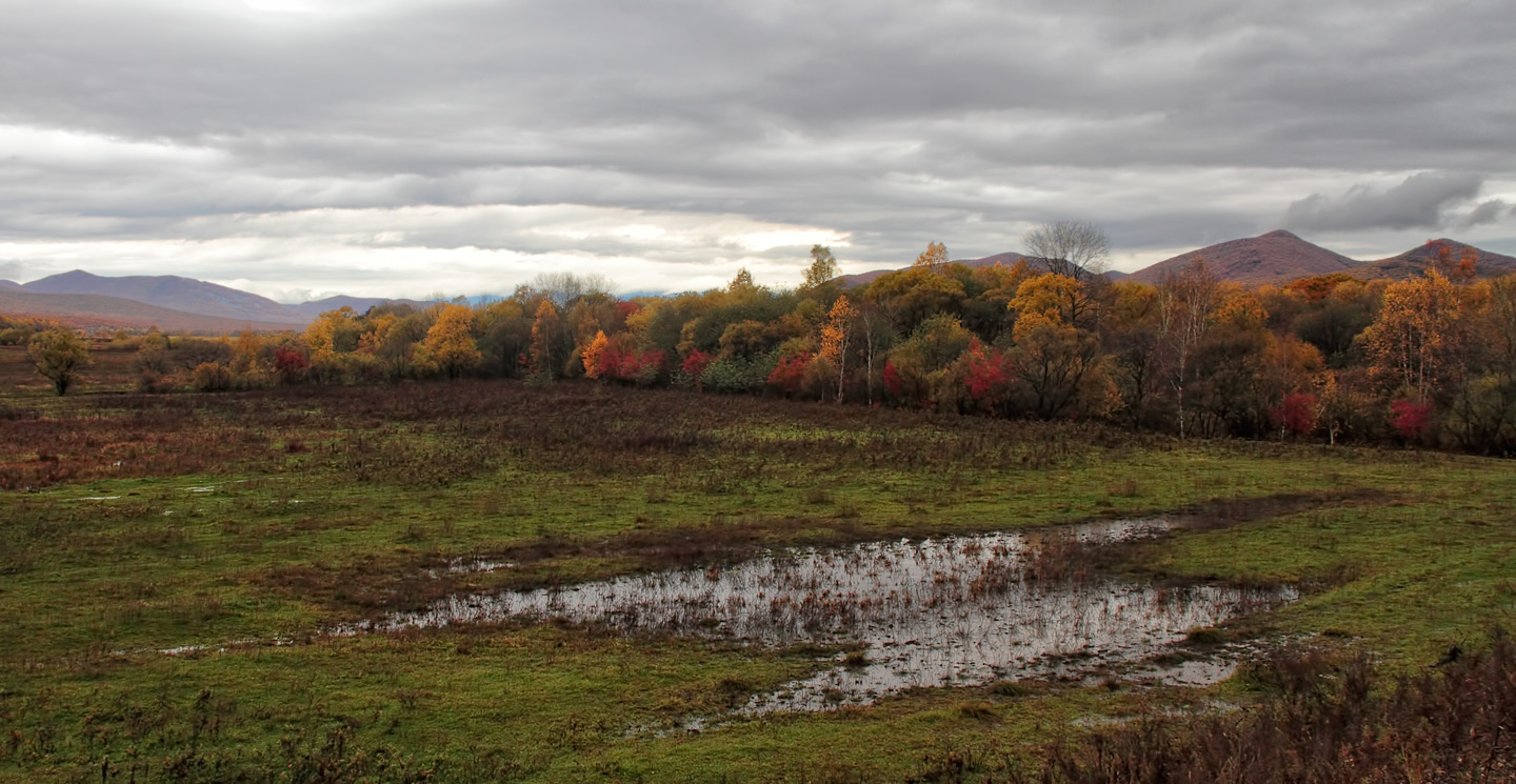 брошеное поле