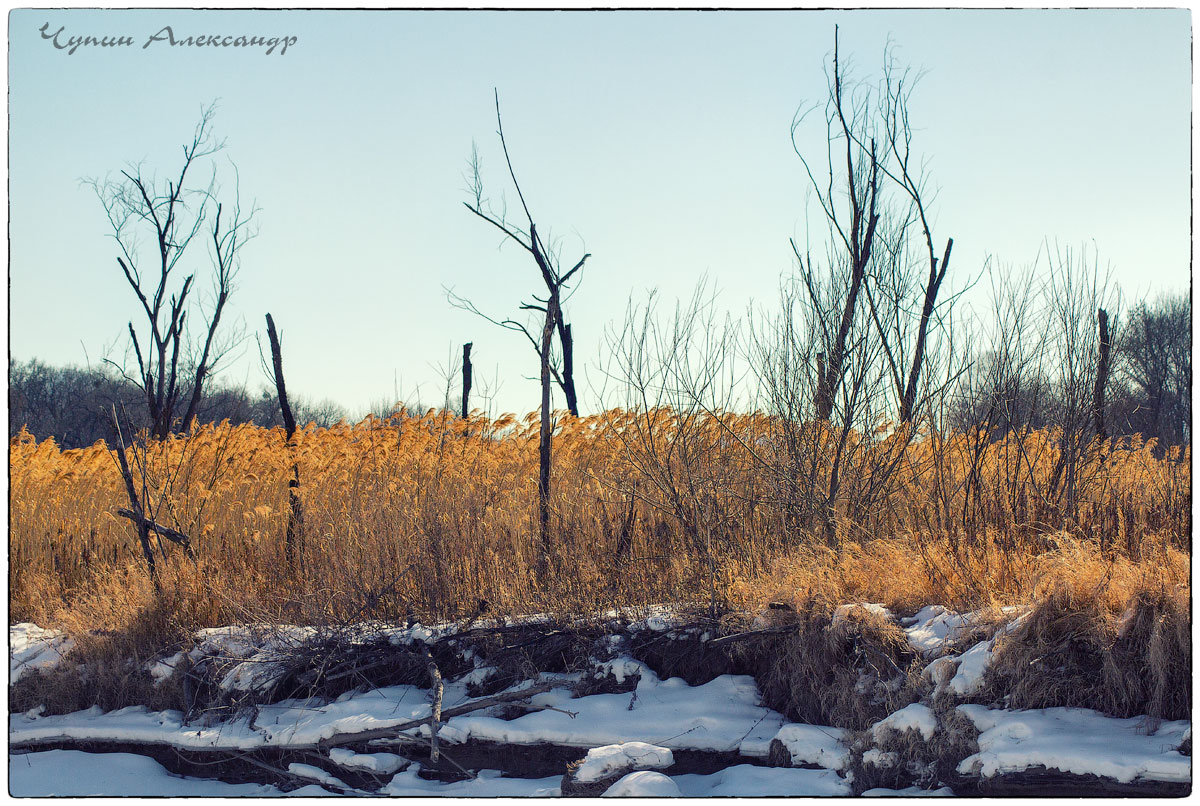 на берегу реки