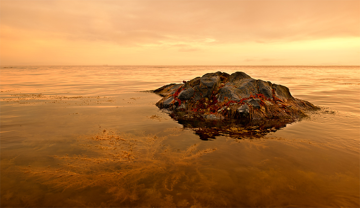 Рубиновое ожерелье