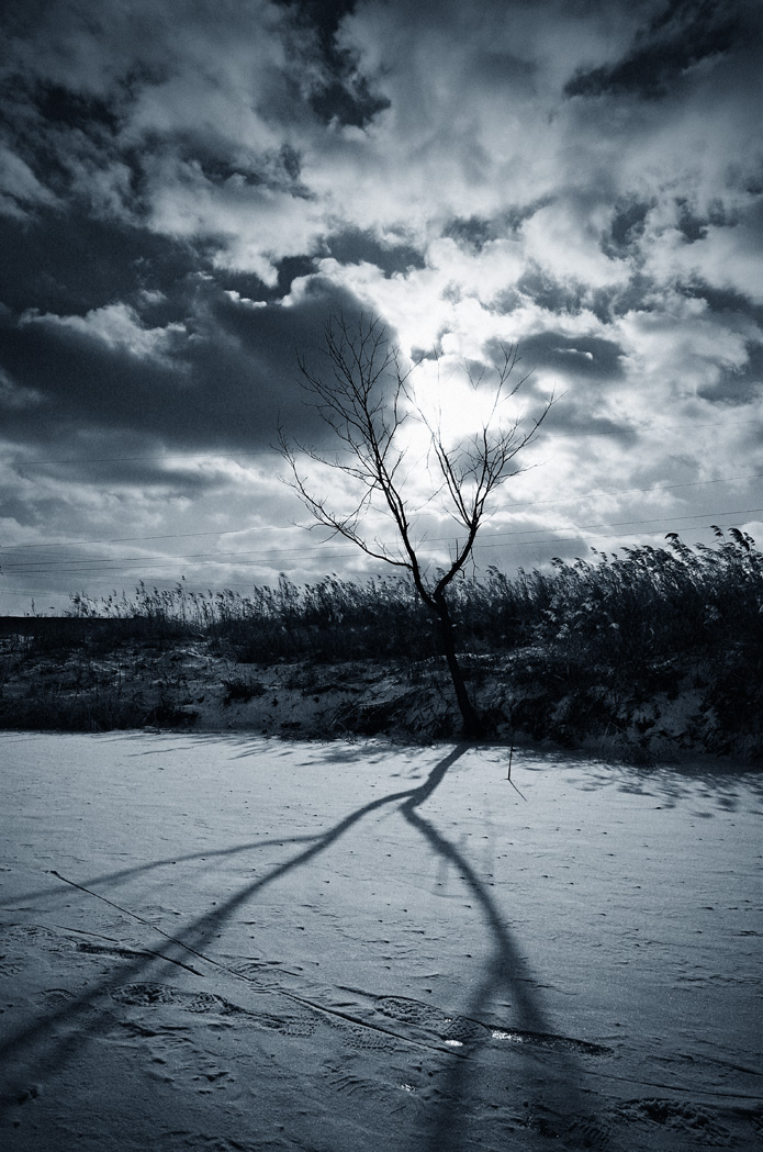 То были следы первых лыжников, рыбаков и фотографов