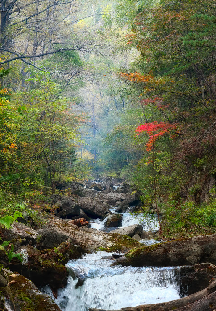 водопадный ручей
